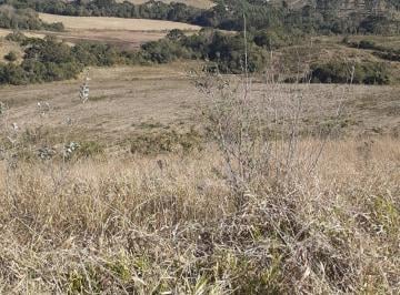 Rural , Caldas · Sitio com 45 alqueires
