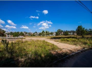 Foto 01 · Oportunidade única: Área Industrial de 46.480m² para venda ou locação em Itapevi-SP, Estância São Fr
