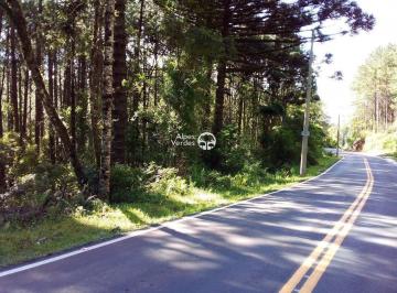 Terreno · 8m² · Vende-se Área com 8.87 hectares 6 km da Rua Coberta de Gramado
