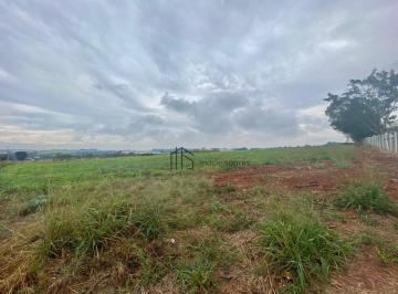 e13c0d18a228b7b4fe875ac2a32cbfaf974d18f9 · Terreno à venda, 20082 m² por R$ 3.150.000 - Holambra - Holambra/SP