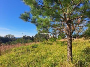 Rural · 1ha · Área de 1.3 ha com linda vista em Taqauara