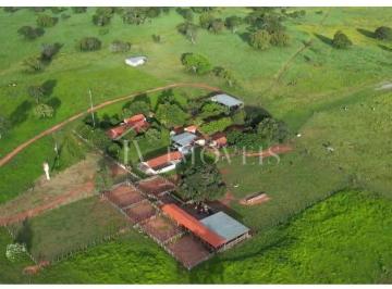 Rural de 4 quartos, Nova Roma · FAZENDA - NOVA ROMA GOIÁS 