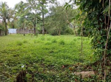 20230112150214795.jpg · Terreno para Venda em São Sebastião, jaraguá