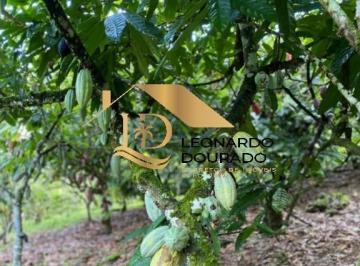 Foto 01 · Fazenda, Ibirataia, Ibirataia, BA