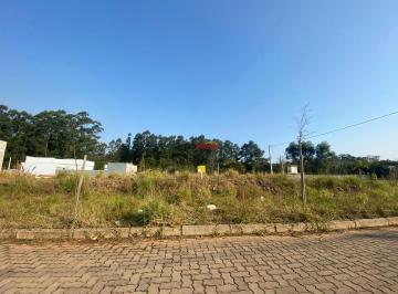 31840441_g.jpg · 
                                Terreno a venda no Loteamento Alles Blau Norte em Igrejinha 
      