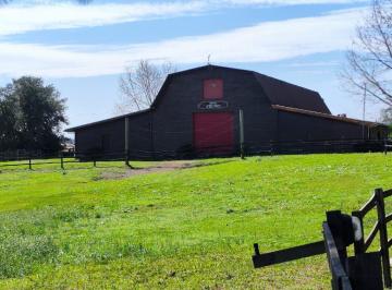Rural , São José dos Pinhais · Haras em São José dos Pinhais