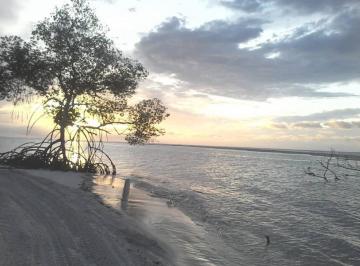 Terreno · 120ha · Vendo terra beira mar praia do guriu Ceará