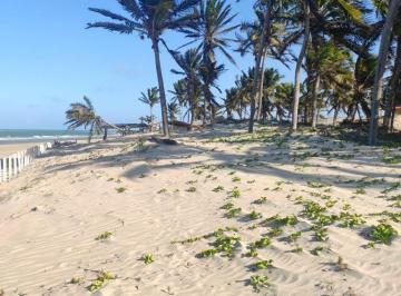 Terreno · 4200m² · Terreno a venda beira mar praia de Caetanos