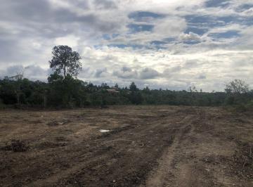 Terreno , Itanagra · Excelente Oportunidade Lotes na Região de Praia do Forte 