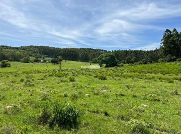 Rural · 42ha · ÁREA PREPARADA PARA PECUÁRIA