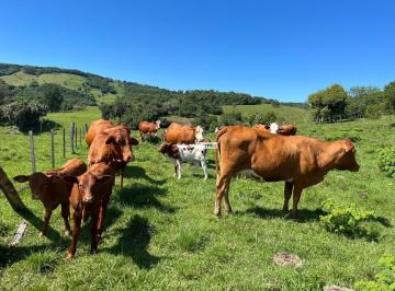 Rural · 30ha · ÁREA PARA PECUARIA