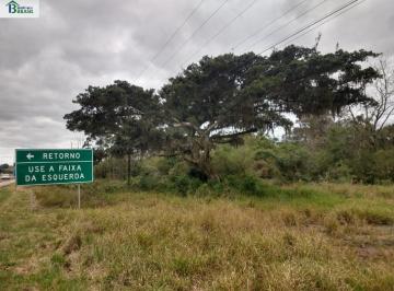 Foto 01 · Chacara, Br116, Sentinela do Sul, RS
