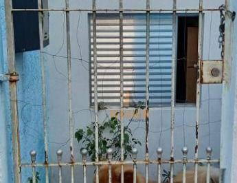 e2992bc1bac05e74e9f8723c3b52812aced234a9 · Casa com 2 salões comerciais