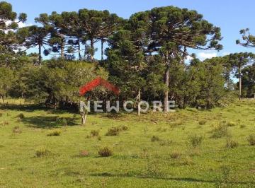 Rural · 100m² · 1 Quarto · 1 Vaga · Chácara em  Estrada geral - Contendas  - São Francisco de Paula/RS
