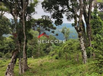 Terreno · 1600m² · Lote em Rua dos Pessegueiros - Campo do Meio - São Francisco de Paula/RS