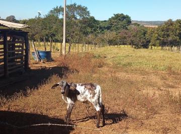 Rural de 3 quartos, Gama · Chácara a venda em Ponte Alta-DF - 5 HECTARES - Casa - Da para criar gado