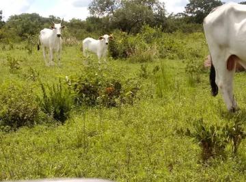 Foto 01 · Fazenda, Rural, João Pinheiro, MG