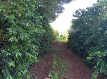 04bc3082b555e1e88e2e5177fbd25653.jpeg · Fazenda / Sítios / Chácaras com 3 quartos à venda em Campanha, no bairro Zona Rural