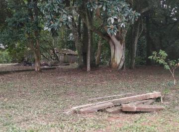 Foto 01 · Area, Morro Grande, São Francisco do Sul, SC