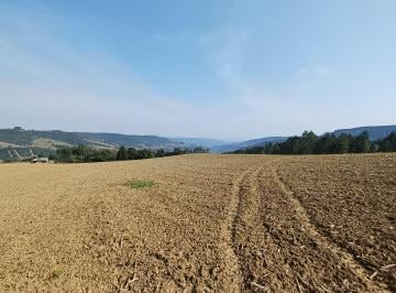 Rural de 2 quartos, Alfredo Wagner · Lindo terreno com 22,3 hectares