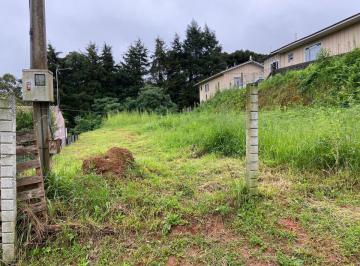 Terreno , Araucária · AMPLO TERRENO NO CENTRO DE ARAUCÁRIA - 746m2