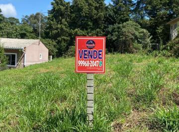 Terreno , Araucária · AMPLO TERRENO NO CENTRO DE ARAUCÁRIA - 746m2