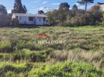 Terreno · 451m² · Lote em Rua Belerophonte Albuquerque - Centro - São Francisco de Paula/RS