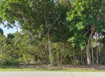 Terreno · 600m² · TERRENO EM CONDOMÍNIO à venda, Praia do Forte - MATA DE SÃO JOÃO/BA