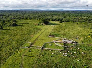 490778_i46qW8E31_49077866bb6ea53e07a.jpg · FAZENDA COM 4.955 HA MT