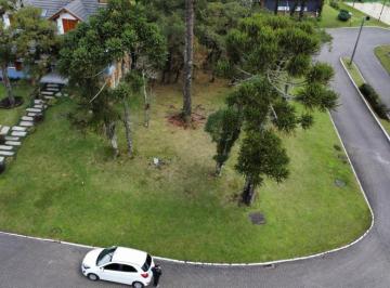 888670.jpg · Terreno - Bairro Centro