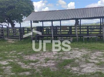 Rural de 4 quartos, Heitoraí · FAZENDA 38.350MT REGIÃO MUNICIPIO DE HEITORAÍ GO