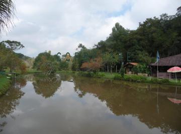 Rural , Araucária · Chácara com 25.000m² em Araucária com 4 casas, piscina, salão de festas...