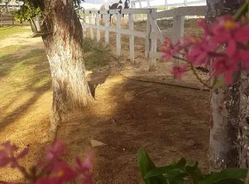 Rural · 24m² · 2 Quartos · Rurais à venda - no Centro