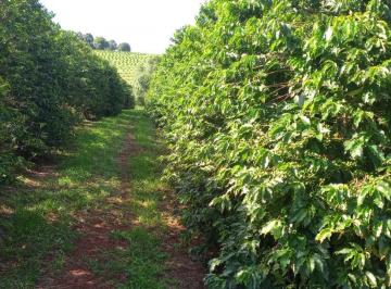 Photo_0 · 
                Fazenda de Café e Laranja - Região de  Campanha-MG
            