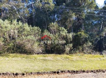 Terreno · 4000m² · Lote em  Avenida Ximangos - Colinas - São Francisco de Paula/RS