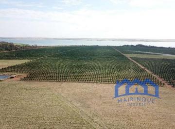 Foto 01 · Sítio/Fazenda à Venda, 65,42 alqueires por R$ 27.000.000 Cód. ch1773