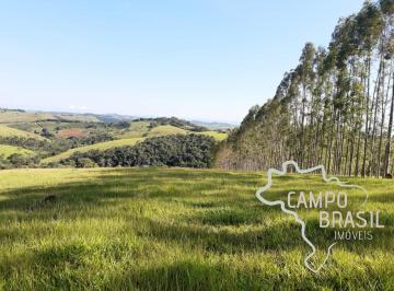 Foto 01 · FAZENDA 225 HECTARES NO SUL DE MINAS GERAIS !