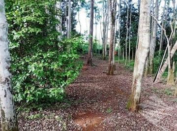 66e3c19e065491356e02450c2be79687b7cda211 · Terreno com construção à venda, 165m² - Barreiro - Taubaté/SP