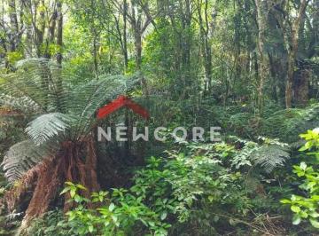 Terreno · 780m² · Lote em Rua 9 - Alpes - São Francisco de Paula/RS