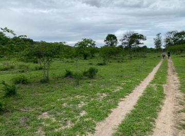Foto 11 · Oportunidade única: Fazenda à venda em Boa Vista do Tupim-BA, com 4 quartos, 2 salas, 3 banheiros e 