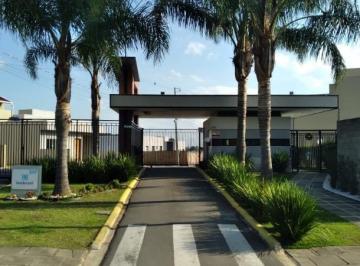Foto 26 · Terreno, Campo de Santana, Curitiba, PR