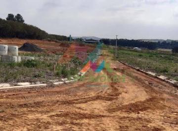lotes e arruamento · Terreno Residencial à venda, Centro, Elias Fausto - TE0092.
