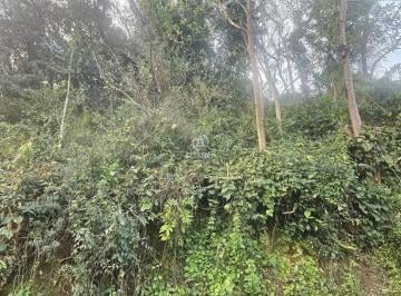 Terreno · 276m² · Terreno à venda - em Botafogo