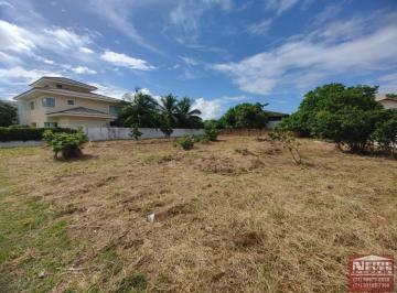 202408141002476970.jpg · LOTE -BUSCA VIDA