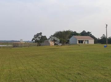 638217_i5B87zwDa52xk8KX2y_63821766c094ad37c48.jpg · Área rural de 3 hectares no Palmital em Osório/RS