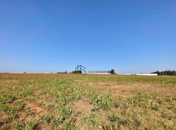 259c7a17bb311fe9ba5ccd1d7765672a2a74a9c8 · Terreno à venda, 20000 m² por R$ 970.000 - Secção A - Holambra/SP