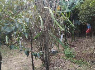 1a670d6389143d843f12766ea9fd9db6776a5589 · Chácara com 2 dormitórios à venda, 1000 m² por R$ 220.000,00 - Leites - Piedade/SP