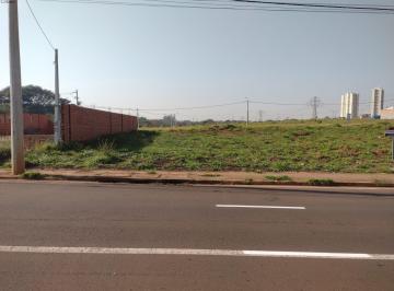 Foto 01 · Terreno, Cidade Nova II, Santa Bárbara D'oeste, SP