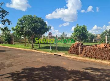 Foto 0 · Chácara à venda IGUARAÇU JARDIM PIONEIRO