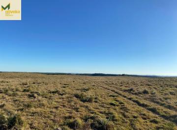 Rural · 55ha · Área rural em São Chico!!